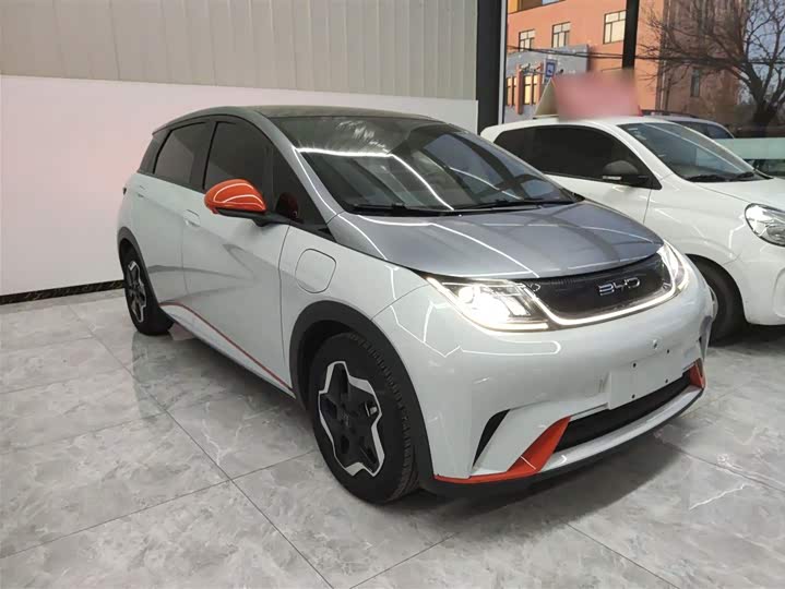 Фото 4 - BYD Dolphin