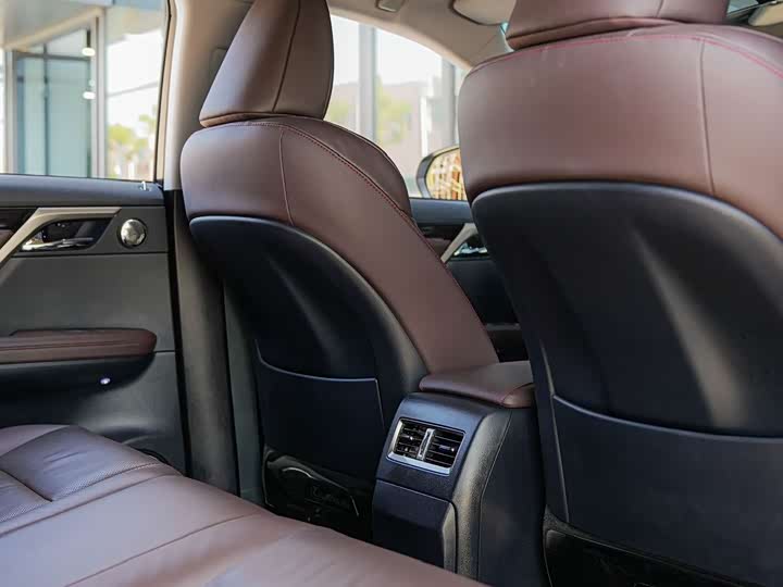 Фото 14 - Lexus RX