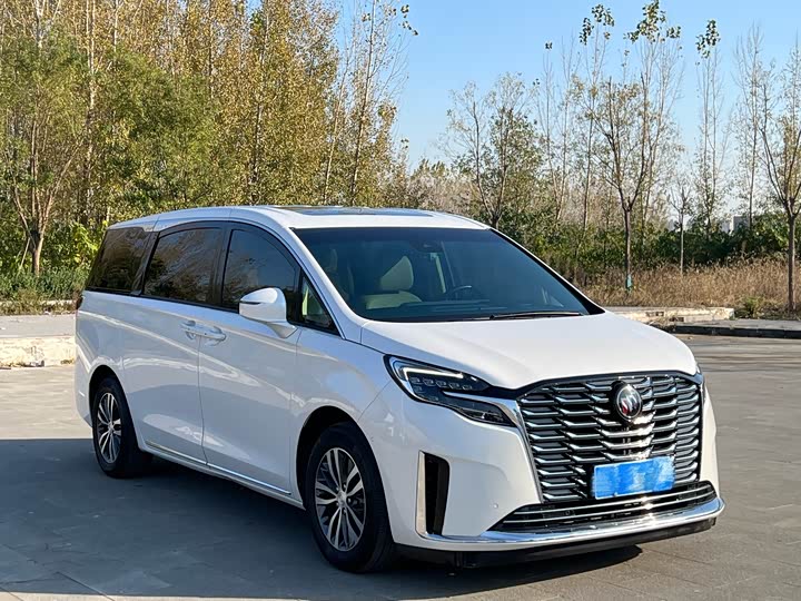 Фото 3 - Buick GL8 ES