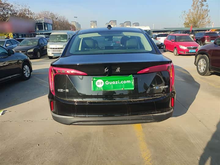 Фото 6 - Hongqi E-QM5