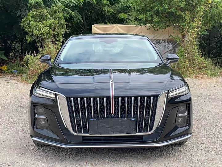 Фото 2 - Hongqi H5