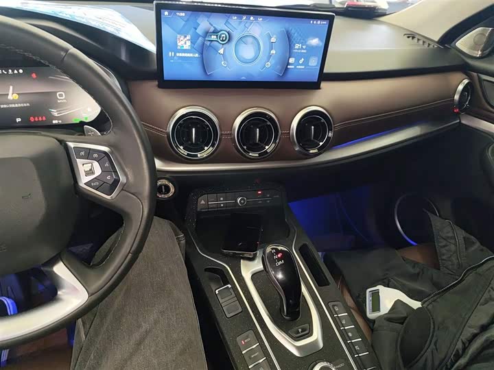 Фото 10 - Wey VV6