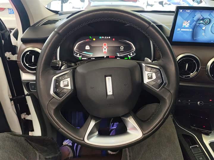 Фото 11 - Wey VV6