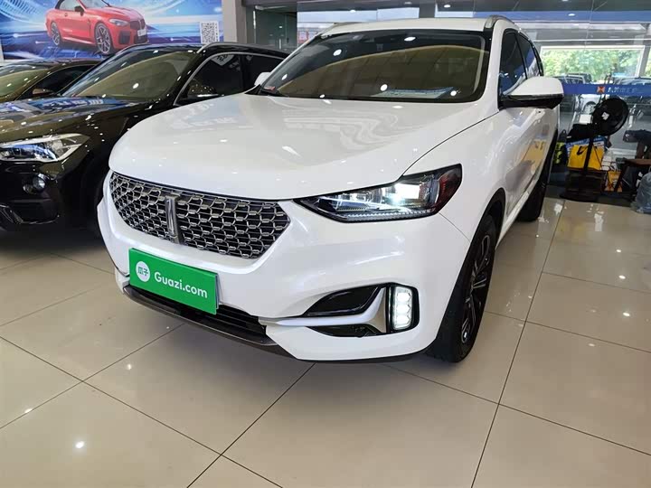 Фото 2 - Wey VV6