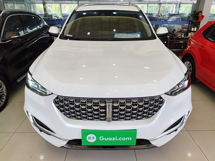 Фото 3 - Wey VV6