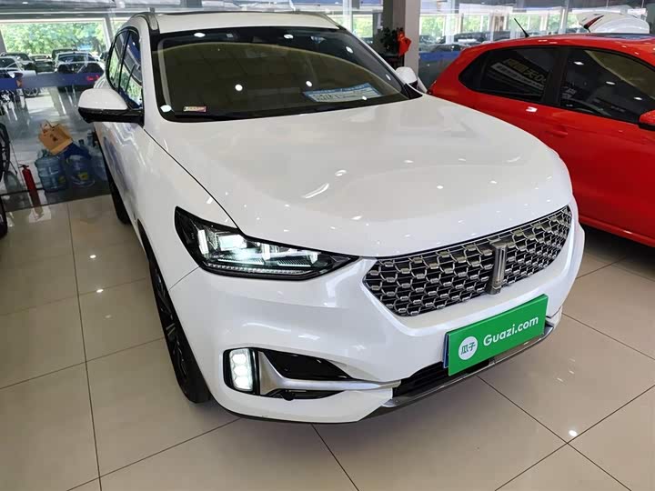 Фото 4 - Wey VV6