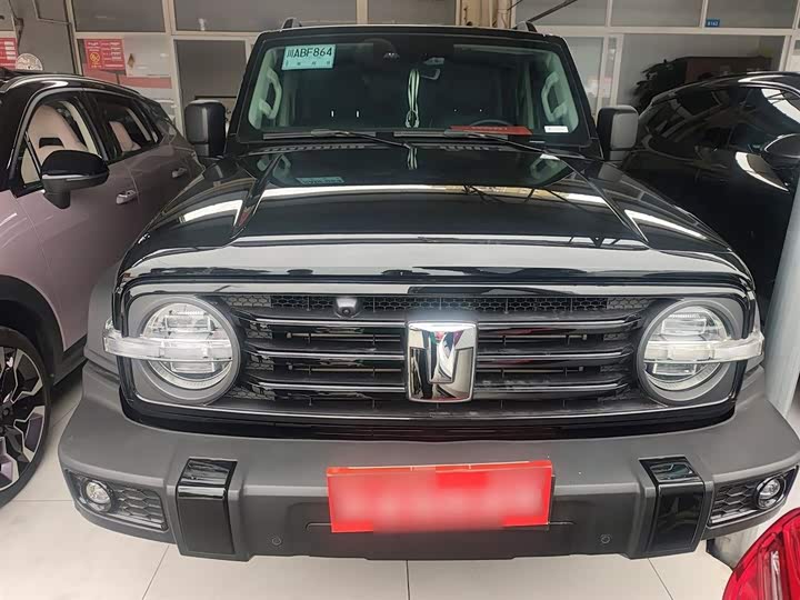 Фото 3 - Tank 300