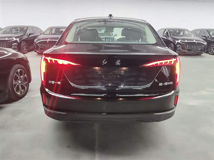 Фото 6 - Hongqi E-QM5