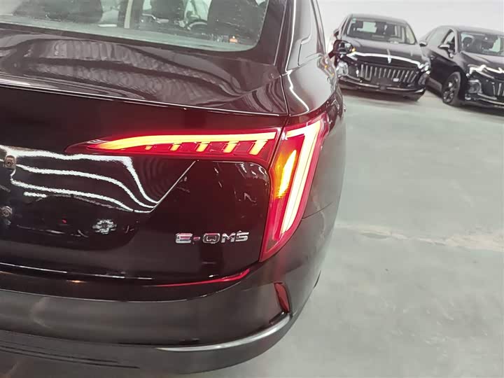 Фото 8 - Hongqi E-QM5