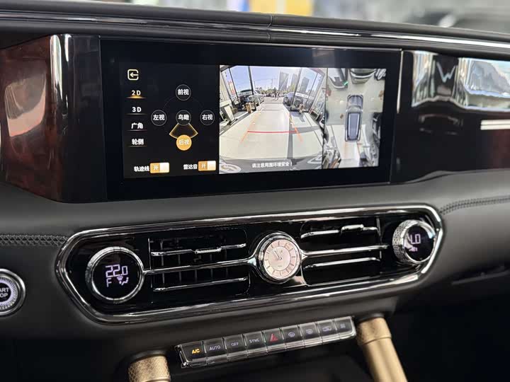 Фото 10 - Hongqi LS7 (Guoyao)