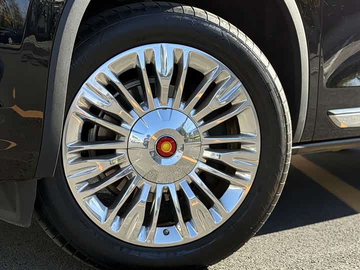 Фото 16 - Hongqi LS7 (Guoyao)