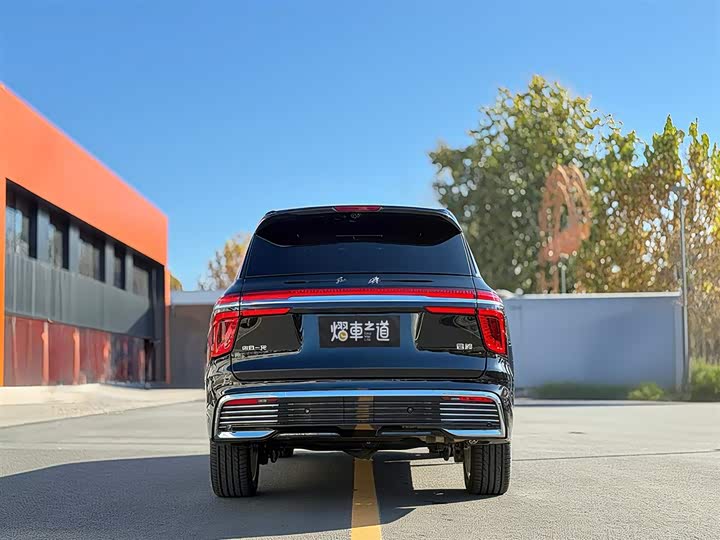Фото 4 - Hongqi LS7 (Guoyao)