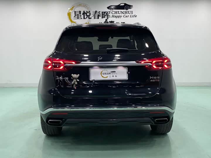 Фото 9 - Hongqi HS5