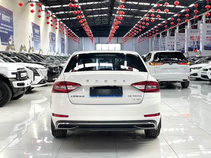 Фото 5 - Skoda Octavia Pro