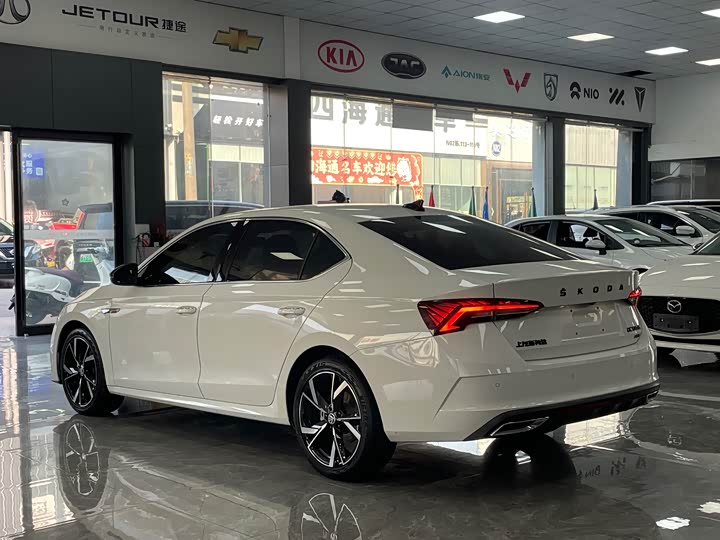 Фото 14 - Skoda Octavia Pro