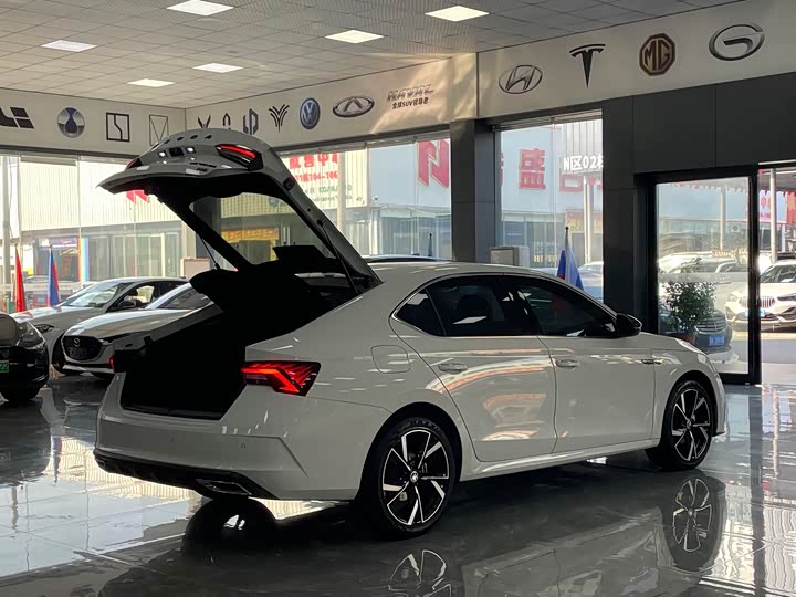 Фото 16 - Skoda Octavia Pro