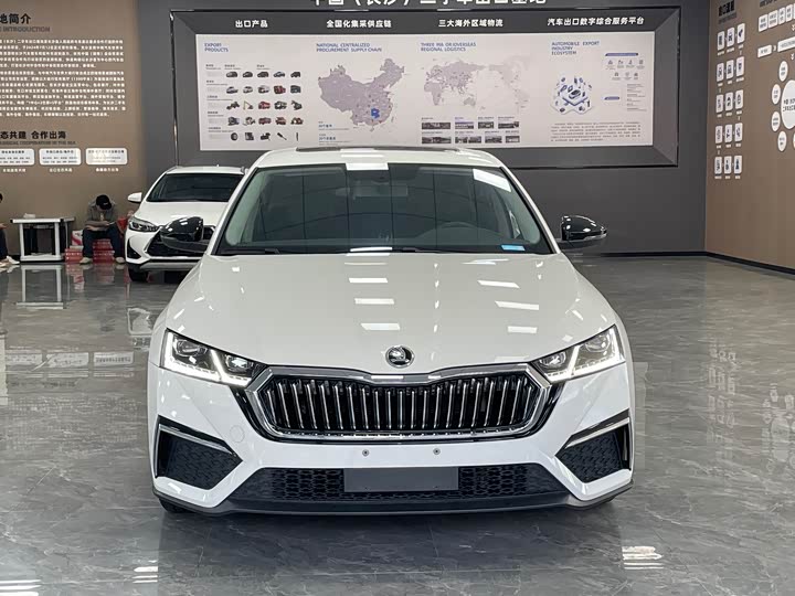 Фото 2 - Skoda Octavia Pro