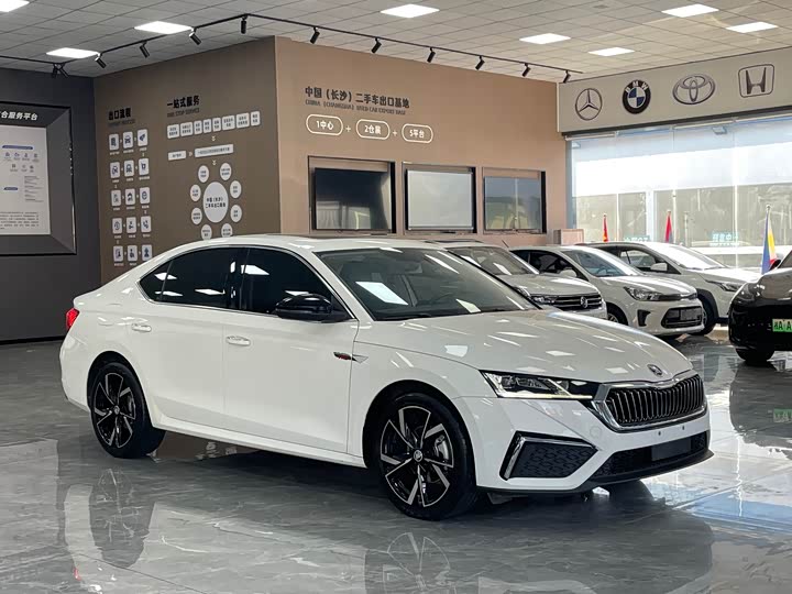 Фото 3 - Skoda Octavia Pro