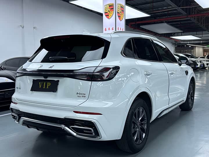 Фото 16 - Hongqi HS5