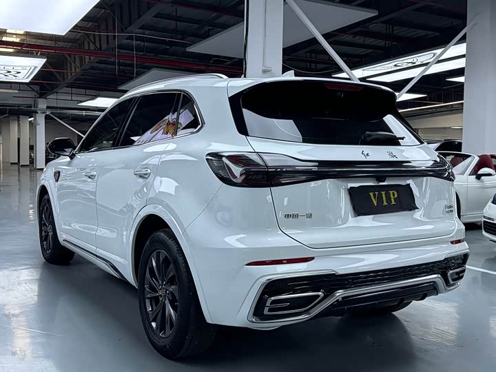 Фото 18 - Hongqi HS5