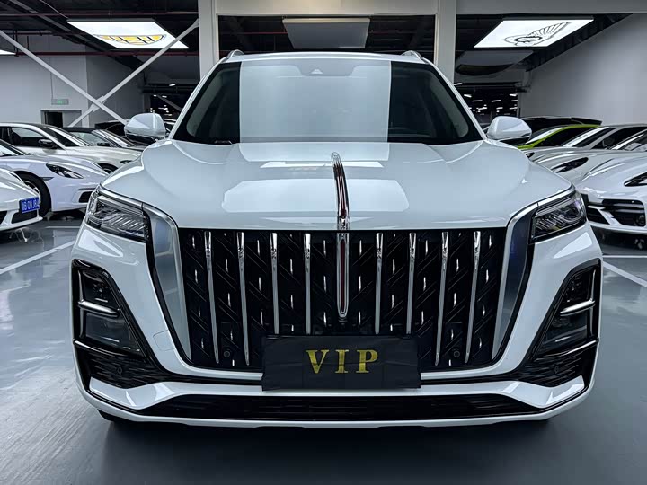 Фото 2 - Hongqi HS5