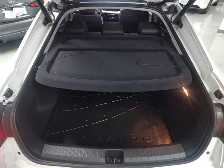 Фото 10 - Volkswagen Lamando L