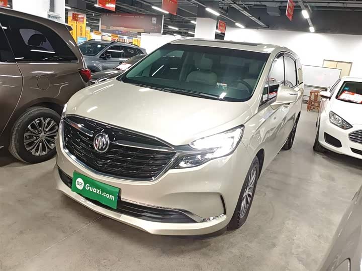 Фото 1 - Buick GL8 ES