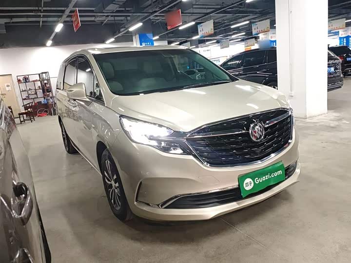 Фото 4 - Buick GL8 ES