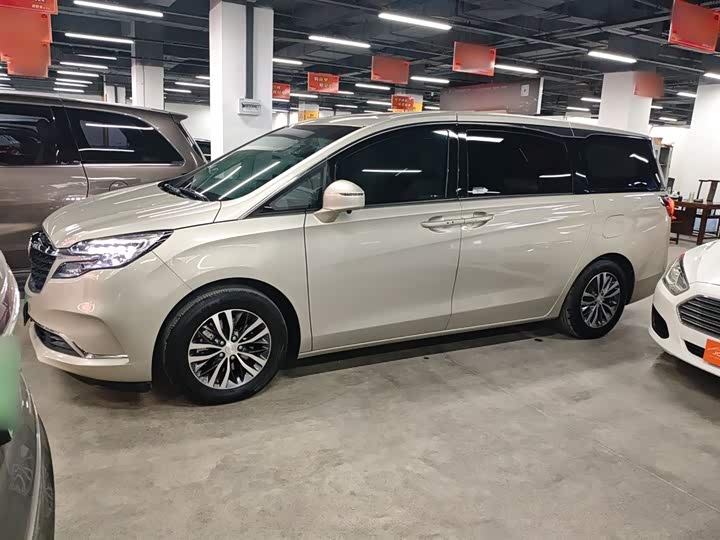 Фото 5 - Buick GL8 ES