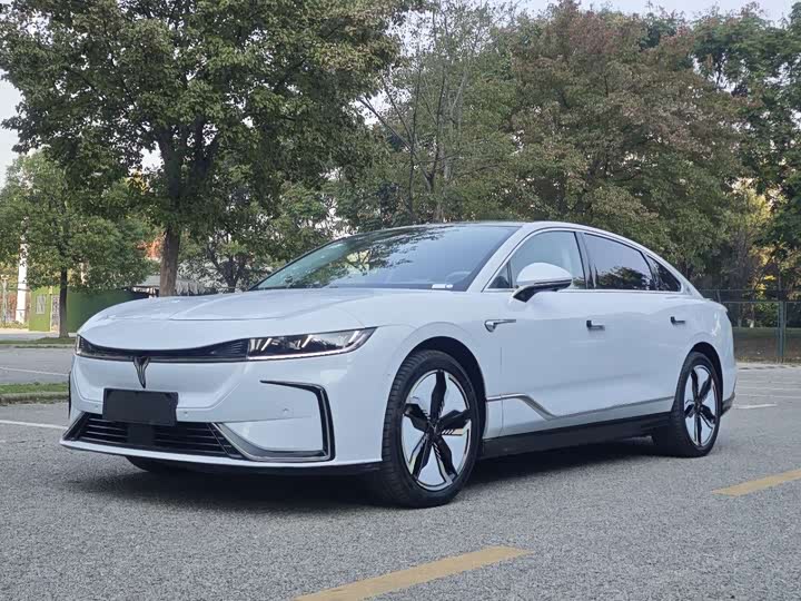 Фото 1 - Voyah Passion