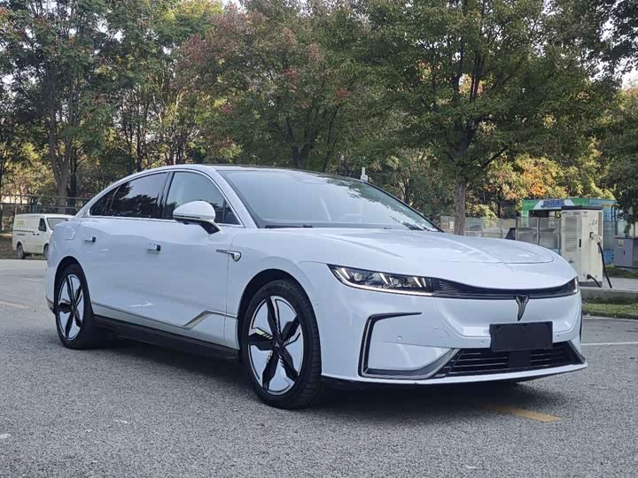 Фото 3 - Voyah Passion