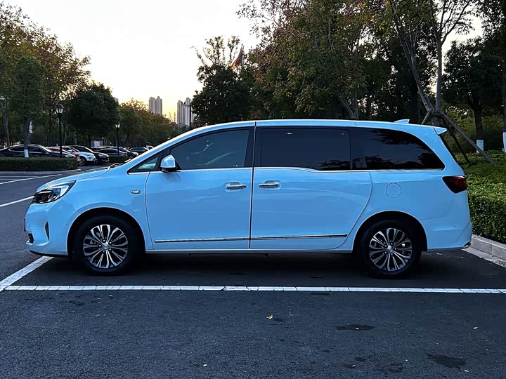 Фото 4 - Buick GL8 ES