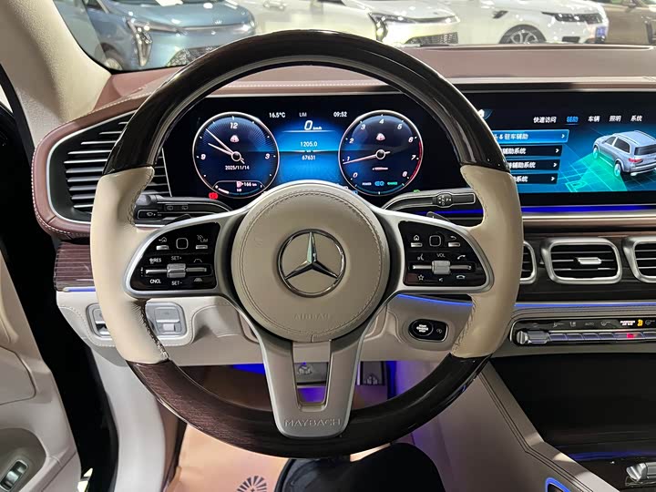 Фото 9 - Mercedes-Benz Maybach GLS