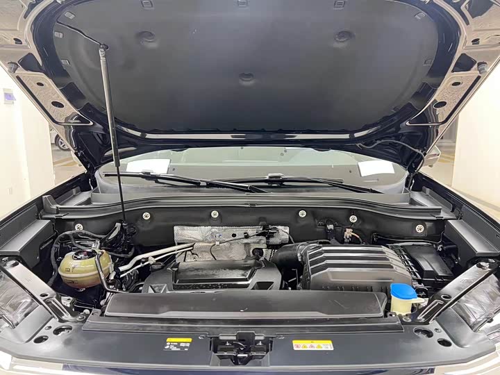 Фото 33 - Volkswagen Teramont Pro