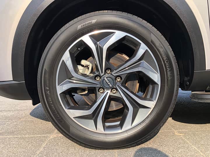 Фото 21 - Haval F7 (Monster)