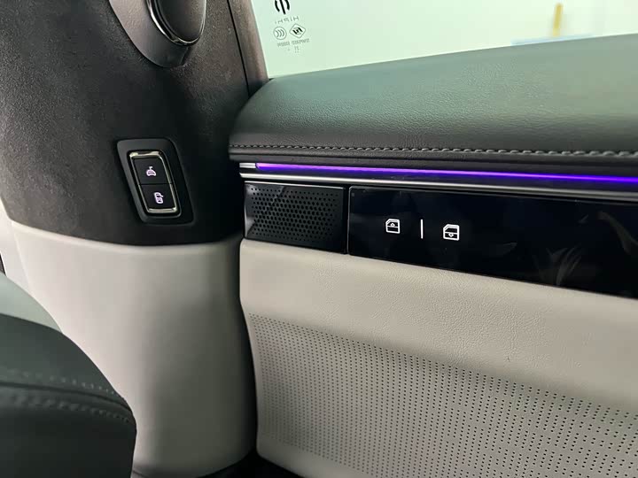 Фото 24 - HiPhi X