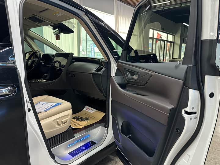 Фото 8 - Toyota Alphard