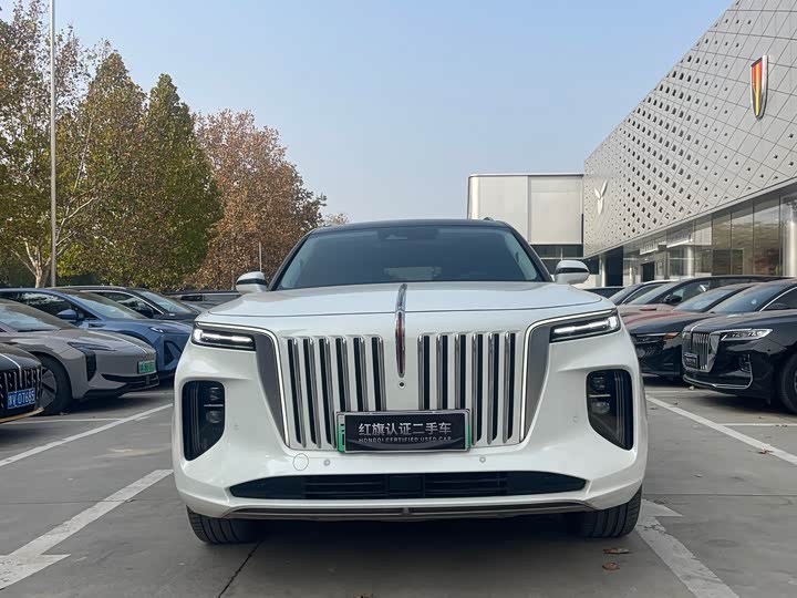 Фото 2 - Hongqi E-HS9