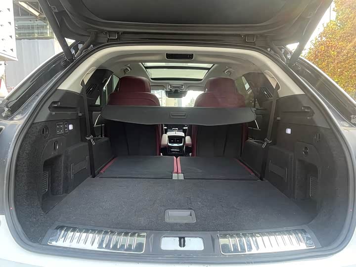 Фото 20 - Hongqi E-HS9