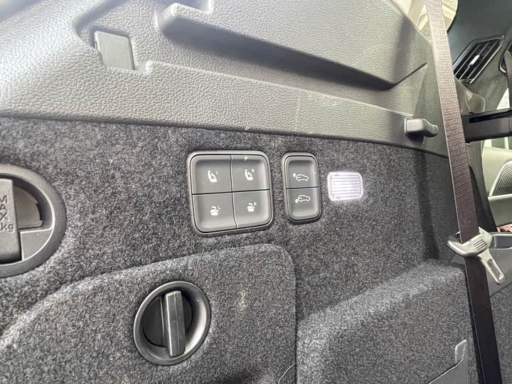 Фото 21 - Hongqi E-HS9