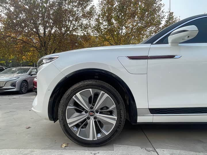 Фото 28 - Hongqi E-HS9