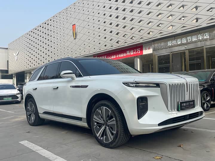 Фото 3 - Hongqi E-HS9