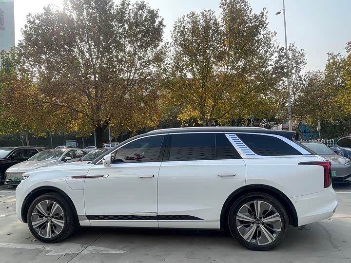 Фото 4 - Hongqi E-HS9