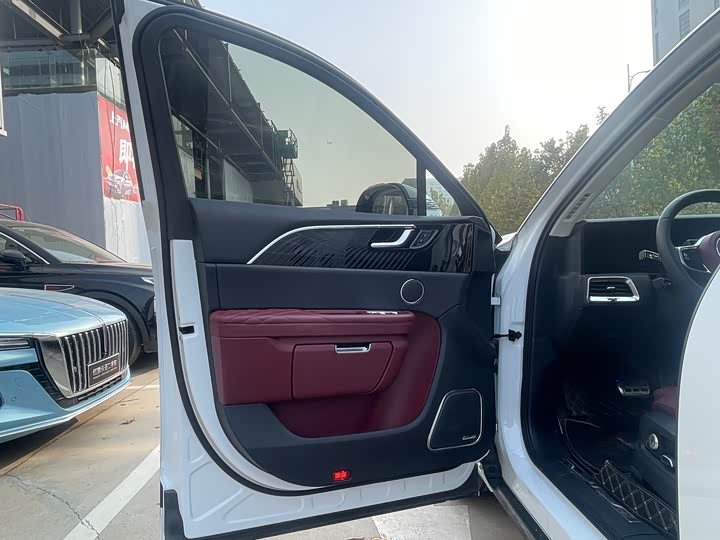 Фото 6 - Hongqi E-HS9