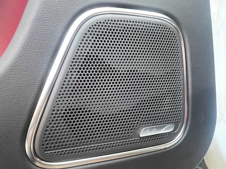 Фото 7 - Hongqi E-HS9