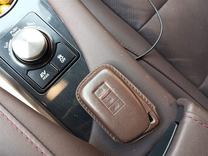 Фото 10 - Lexus RX