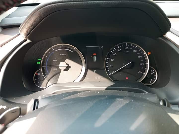 Фото 13 - Lexus RX