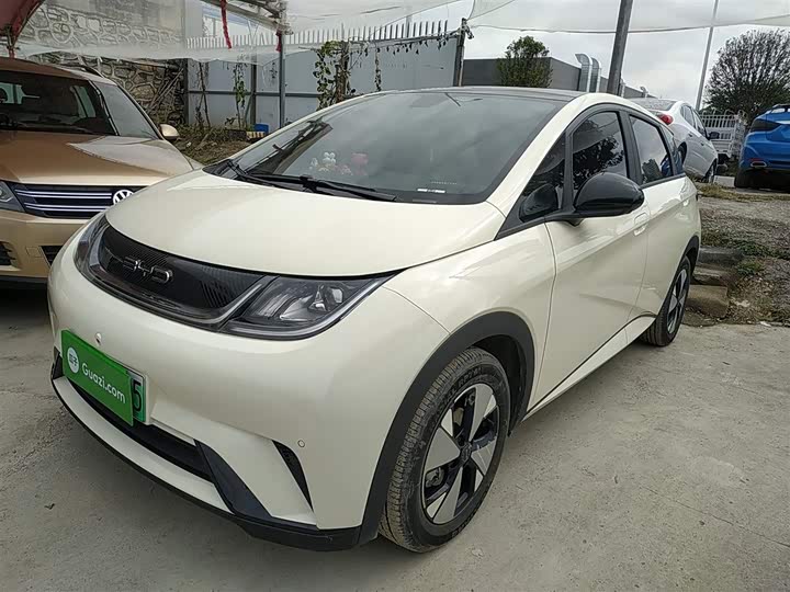 Фото 1 - BYD Dolphin