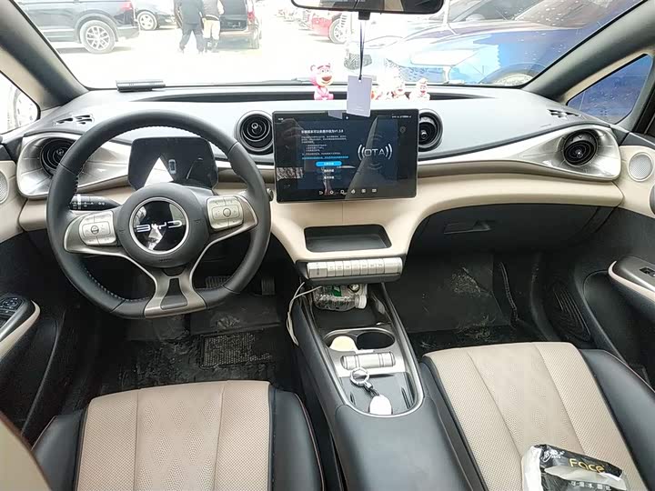 Фото 10 - BYD Dolphin