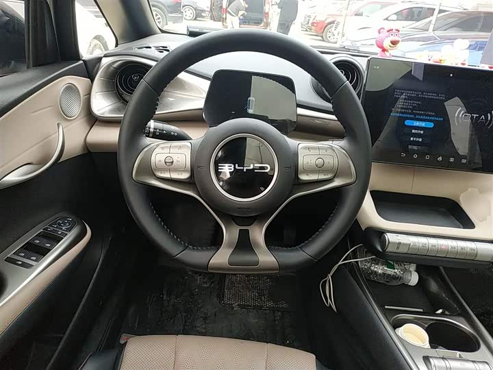 Фото 11 - BYD Dolphin